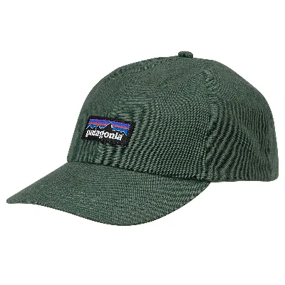 Patagonia P-6 LABEL TRAD CAP