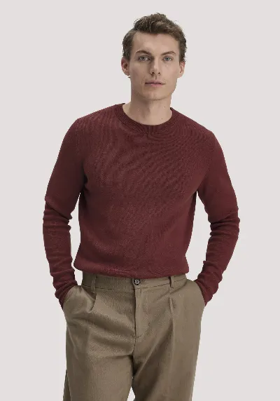 hessnatur hessnatur Herren Milano Strick Pullover Regular aus Leinen mit Bio-Baumwolle und LENZING™ ECOVERO™ Viskose - braun