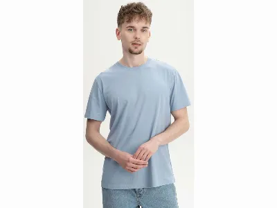MELA MELA Bio-Herren-T-Shirt SADHIL mit Feinripp-Rundhalsausschnitt, dusty green,