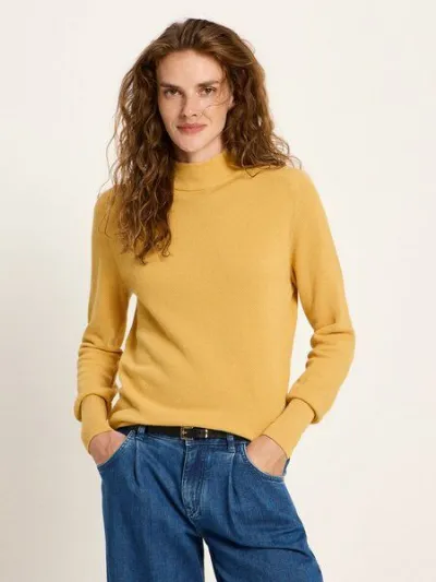 LANIUS LANIUS Feiner Rollkragenpullover