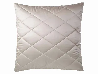 PROLANA Prolana Kopfkissen aus Hanf 80x80 cm, 1400g