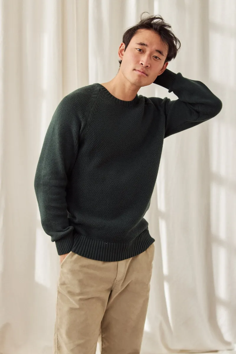 TWOTHIRDS TWOTHIRDS Herren vegan Pullover Tortuga