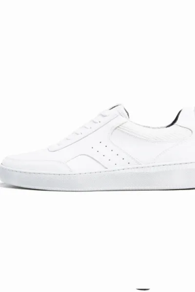 Will's Vegan Store Will's Vegan Store Damen vegan München 2 Sneaker