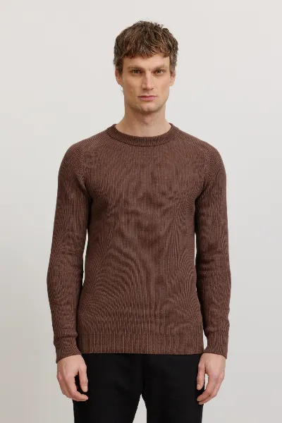 recolution Recolution Herren vegan Pullover Salvia Taupe