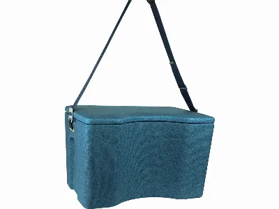 cagoon cagoon Performance Thermobox / Kühlbox AEROSTUFFY L, isolierend, blau
