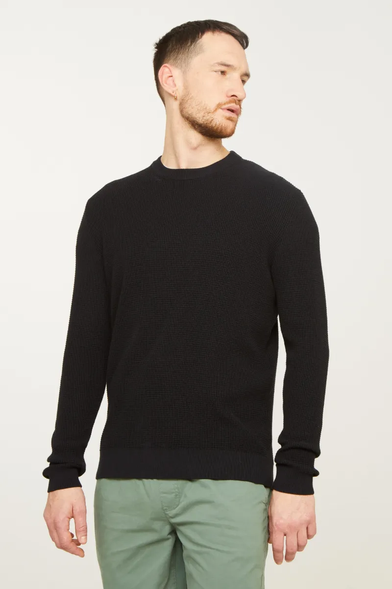 recolution Recolution Herren vegan Pullover Lupin
