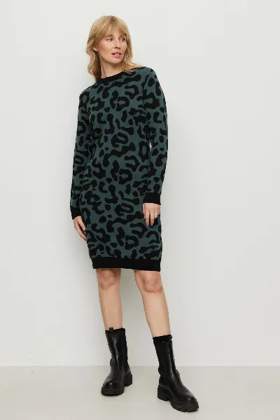 recolution Kleid Amaranthus Leo