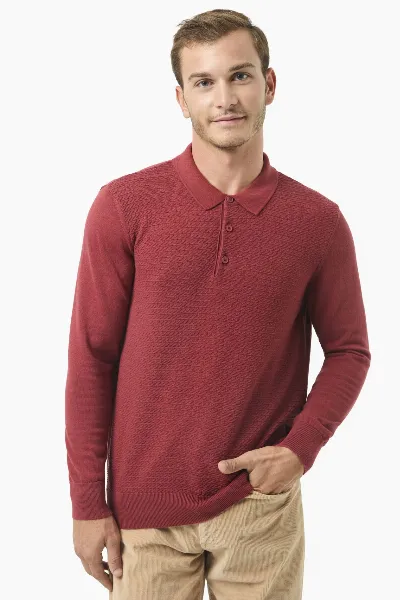 ORGANICATION ORGANICATION Herren vegan Pullover Polo Kragen