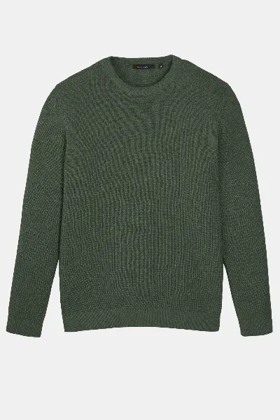 recolution Recolution Herren vegan Pullover Bacopa Grün