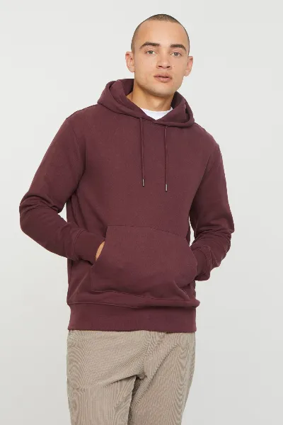 recolution Recolution Herren vegan Hoodie Duranta Dunkel Pflaume