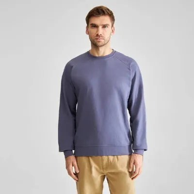 Dedicated DEDICATED Sweatshirt Malmoe Base aus Bio-Baumwolle