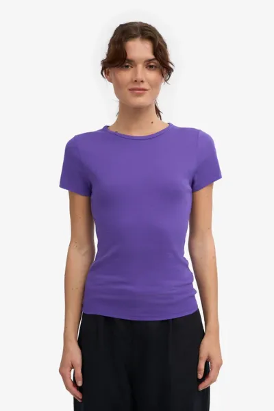 Colorful Standard T-Shirt Rib