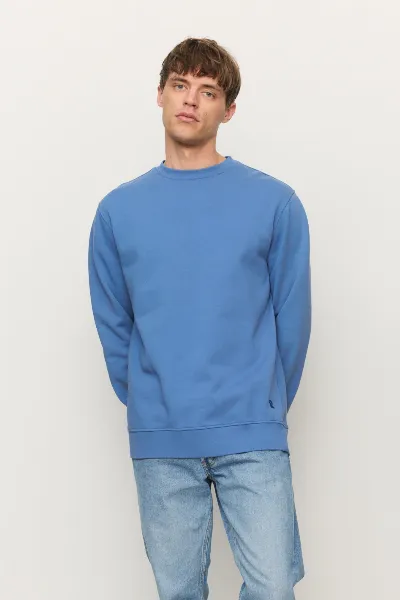 recolution Recolution Herren vegan Sweatshirt Tamarillo Electric Blue