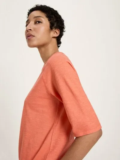 LANIUS LANIUS Raglanshirt (GOTS) aus Bio-Baumwolle