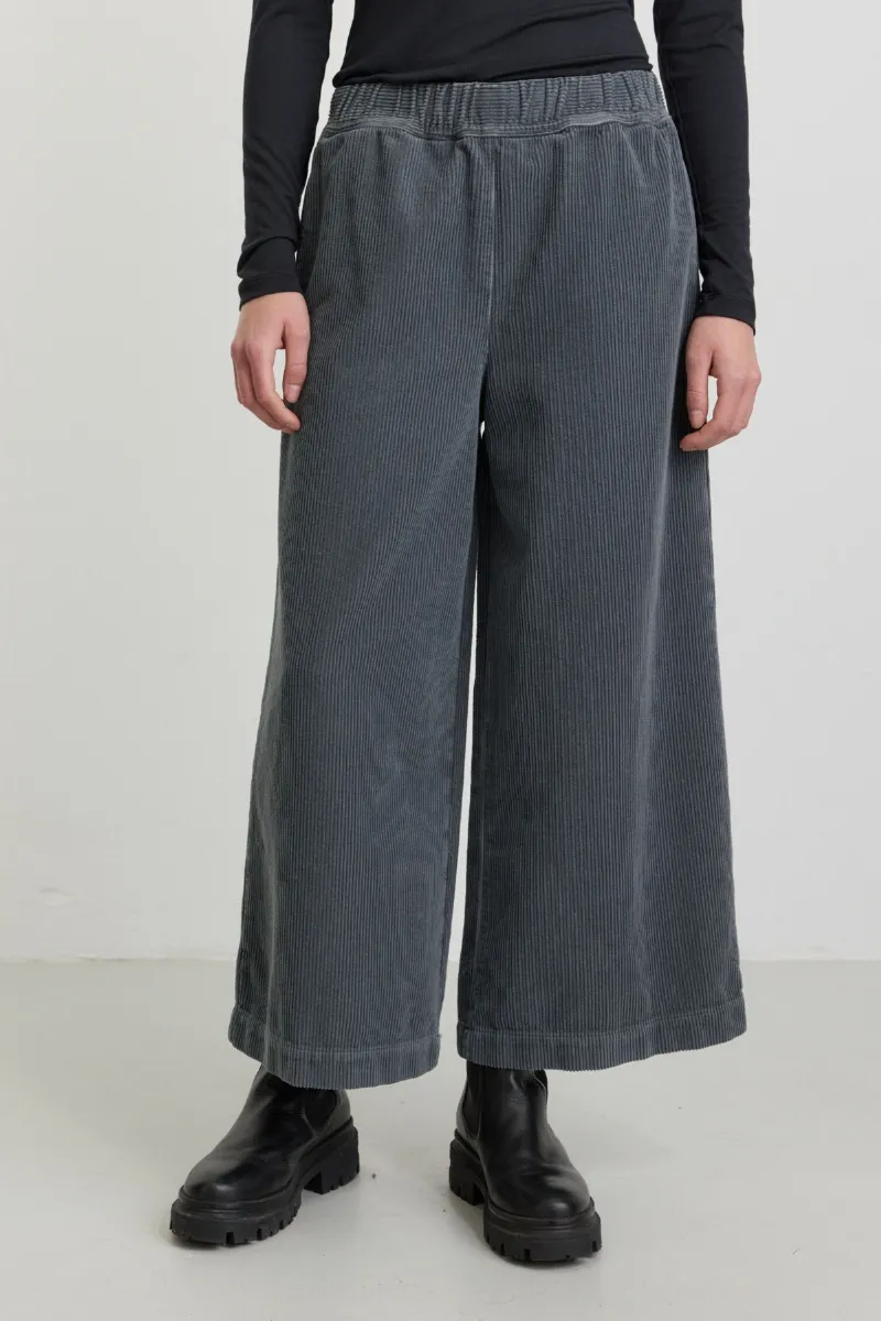 recolution Hose Protea