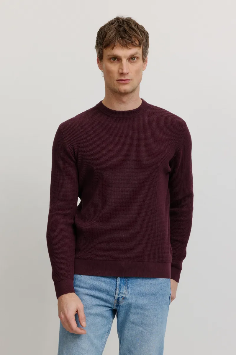 recolution Recolution Herren vegan Pullover Lupin