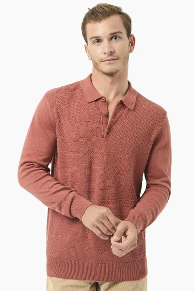ORGANICATION ORGANICATION Herren vegan Pullover Polo Kragen Zimt