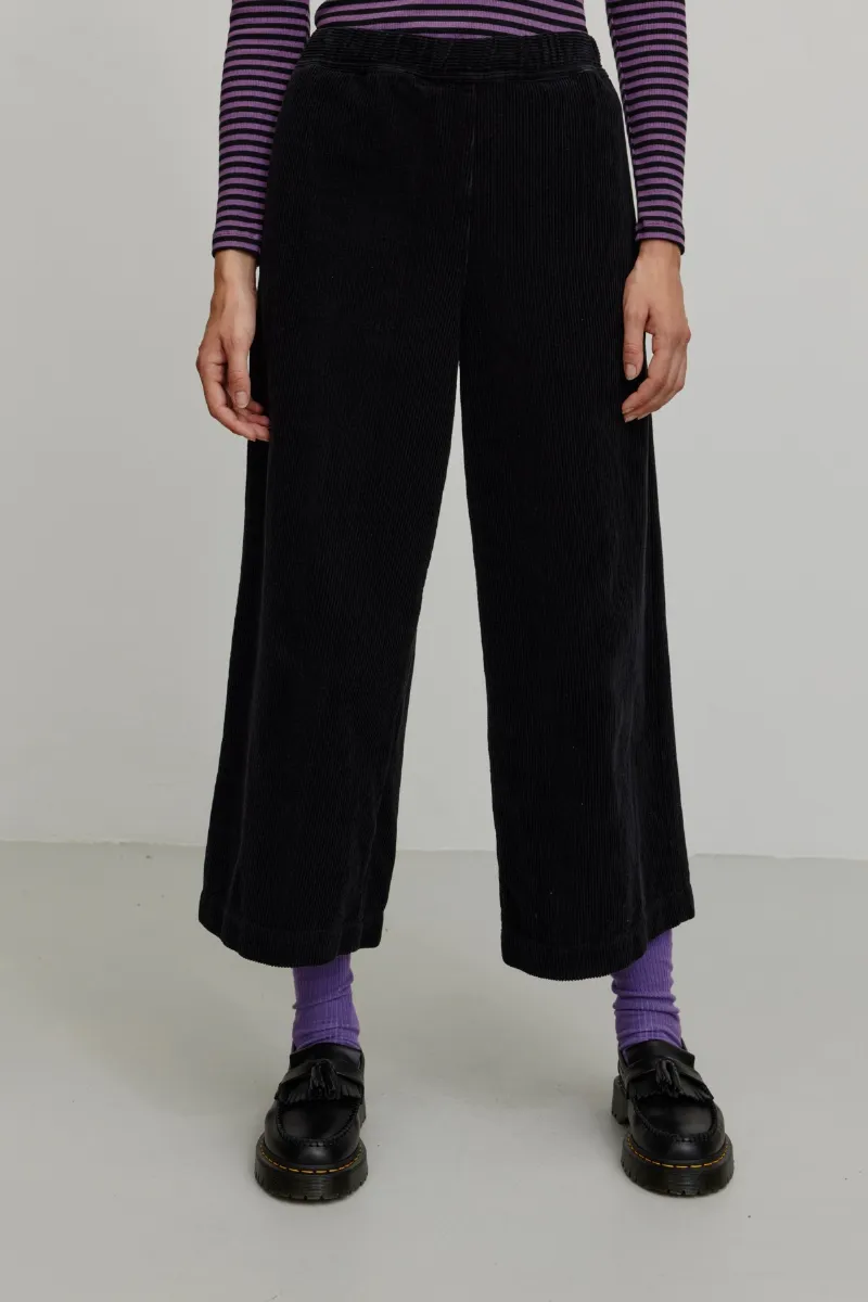 recolution Hose Protea