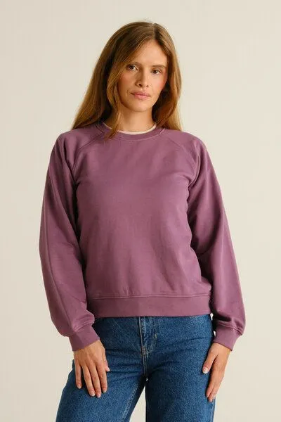 Dedicated DEDICATED Sweatshirt Ystad Base - aus Bio-Baumwolle
