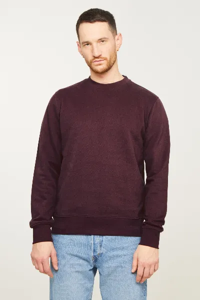 recolution Recolution Herren vegan Sweatshirt Tamarillo Dunkle Pflaume