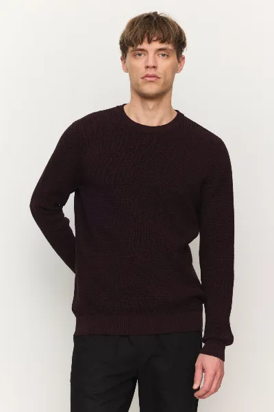 recolution Recolution Herren vegan Pullover Bacopa Dark Plum