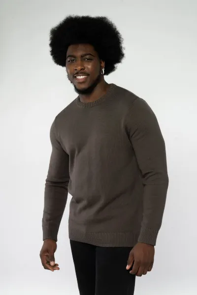TENTREE Highline Cotton Crew Sweater aus Bio Baumwolle