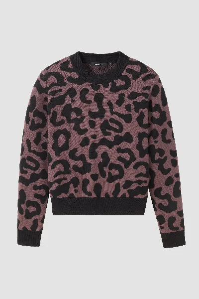 recolution Recolution Damen vegan Pullover Pistia Leo Dark Grape
