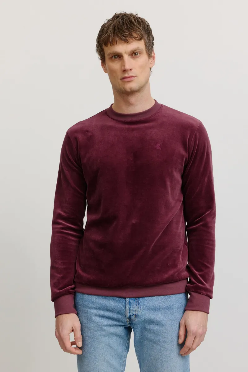 recolution Sweatshirt Pimento