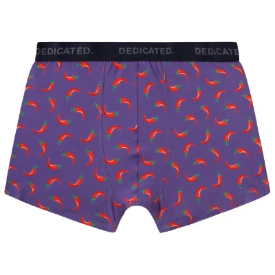 Dedicated DEDICATED - Boxer Briefs Kalix Chilli - Alltagsunterwäsche