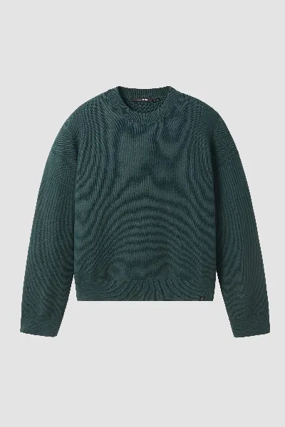 recolution Recolution Damen vegan Pullover Gingko In