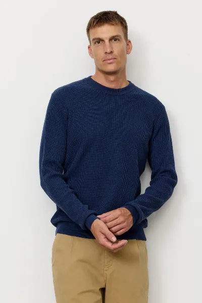 recolution Recolution Herren vegan Pullover Lupin Navy