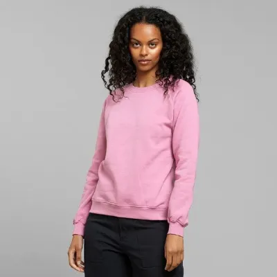 Dedicated Dedicated Sweatshirt Ystad Raglan Base