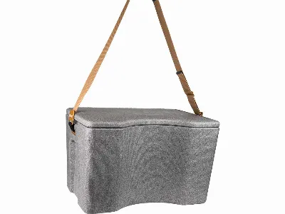 cagoon cagoon Performance Thermobox / Kühlbox AEROSTUFFY L, isolierend, grau