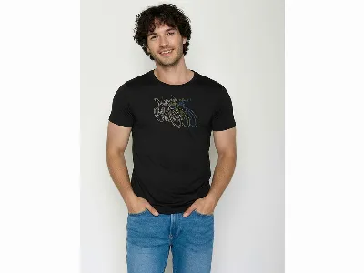GreenBomb GREENBOMB Bio-Herren-T-Shirt 'Race' mit Rundhalsausschnitt, black,