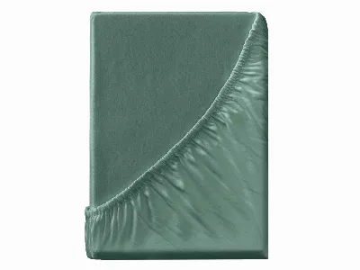  Spannbettlaken Eco-Jersey-Interlock aus Bio-Baumwolle 180-200 x 200 cm, lorbeer