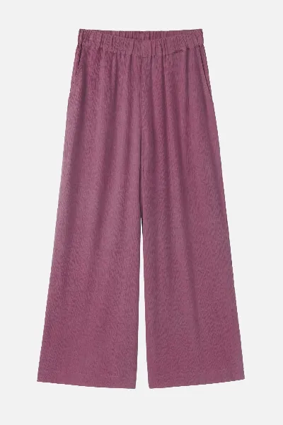 recolution Hose Mandevilla