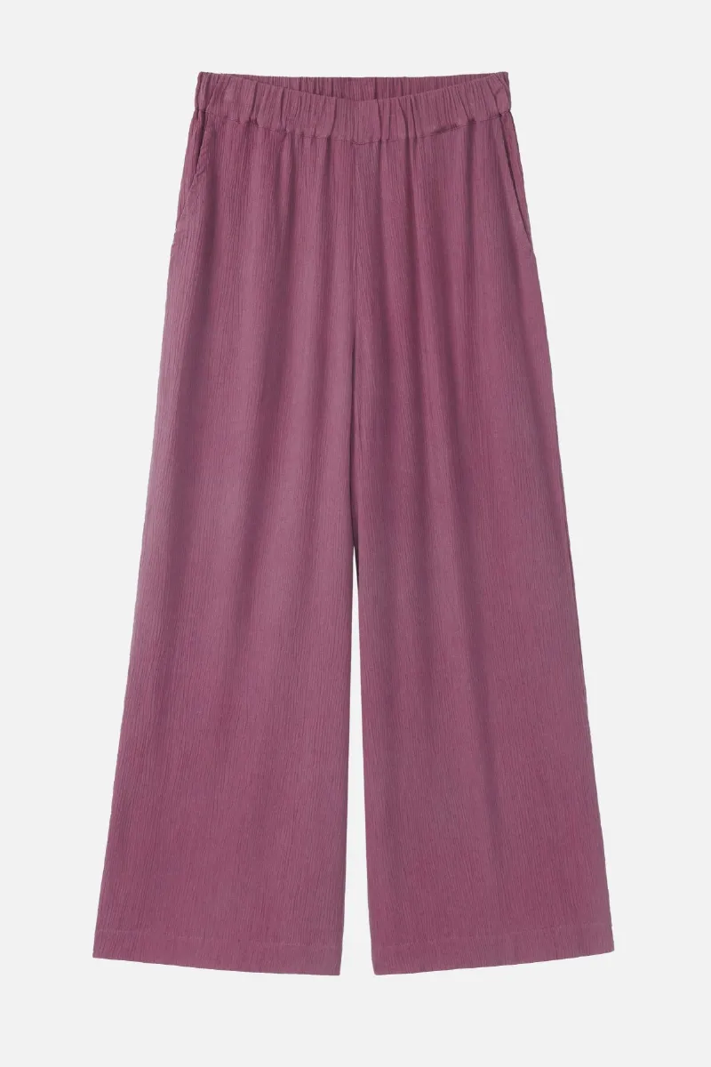 recolution Hose Mandevilla