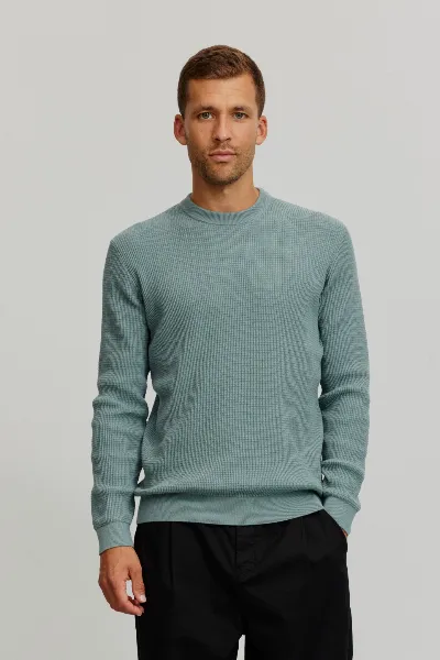 recolution Recolution Herren vegan Pullover Lupine Tannengrün