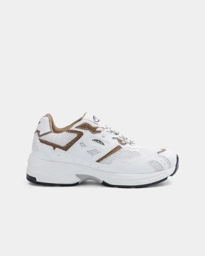 MoEa MoEa Sneakers Rush - White & Brown - Palm