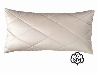 PROLANA Prolana Baumwoll-Steppkissen 40x80cm S. 700g Baumwolle