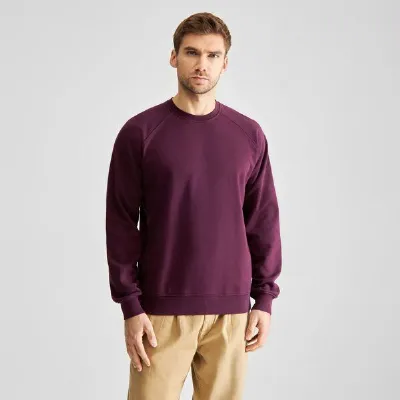 Dedicated DEDICATED Sweatshirt Malmoe Base aus Bio-Baumwolle