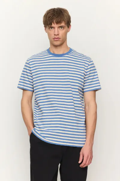 recolution T-Shirt Delonix Stripes Blau