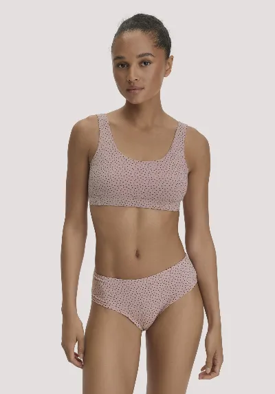hessnatur hessnatur Damen Panty Regular Cut im 3er-Pack COTTON FEEL aus Bio-Baumwolle - braun