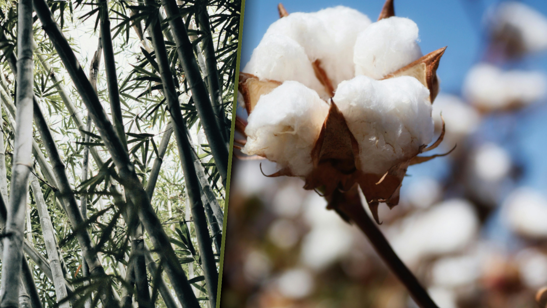 Nachhaltige Materialien– ein Ratgeber für bewusste Bekleidung