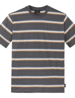 recolution T-Shirt EPAZOTE STRIPES