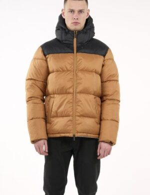 KnowledgeCotton Apparel Posey Woven Shorts – beige stripe