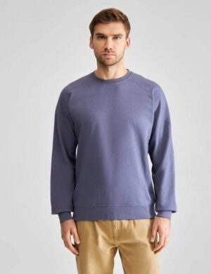 DEDICATED Sweatshirt Malmoe Base aus Bio-Baumwolle