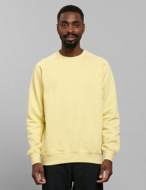 Dedicated Sweatshirt Malmoe Base