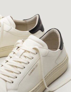 Flamingos' Life Hampton Court