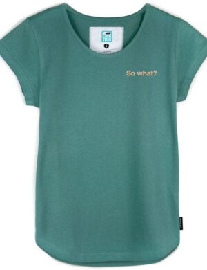 GARY MASH Shirt Asheville So what? aus Bio-Baumwolle